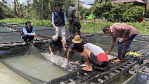 peninjauan-langsung-ke-Komplek-Budidaya-Ikan-Keramba-di-Banjarmasin.jpg