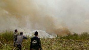 satgas-karhutla-yang-sudah-terbentuk-terus.jpg