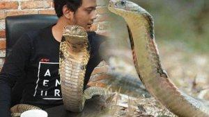 tips-hadapi-teror-ular-kobra-versi-panji-petualang-bisa-menggunakan-sapu-rumah.jpg