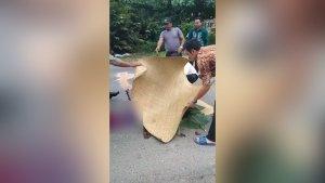 warga-menutupi-tubuh-korban-kecelakaan-lalu-lintas-di-tikungan-tajam-Desa-Tajaupecah.jpg