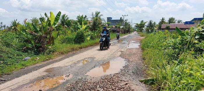 Jalan Poros Antardesa di Tanahlaut Ini Diselubungi Lubang, Mobil Bodi Rendah Kerap Nyangkut
