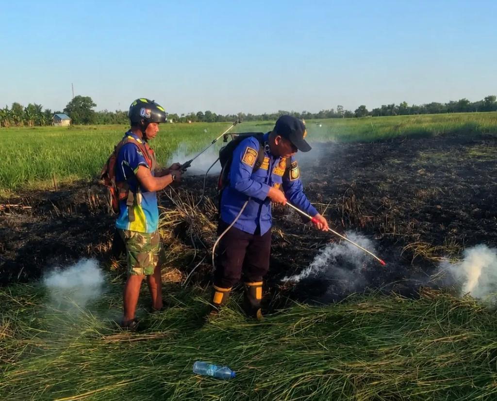 Kepulan Asap Bikin Cemas, Damkar Tanahlaut Berpacu Selamatkan Sawah Warga di Bati-Bati - Banjarmasinpost.co.id