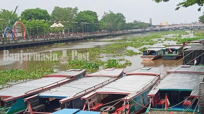 Penanganan Eceng Gondok di Sungai Martapura Kota Banjarmasin akan Dibagi Per Instansi