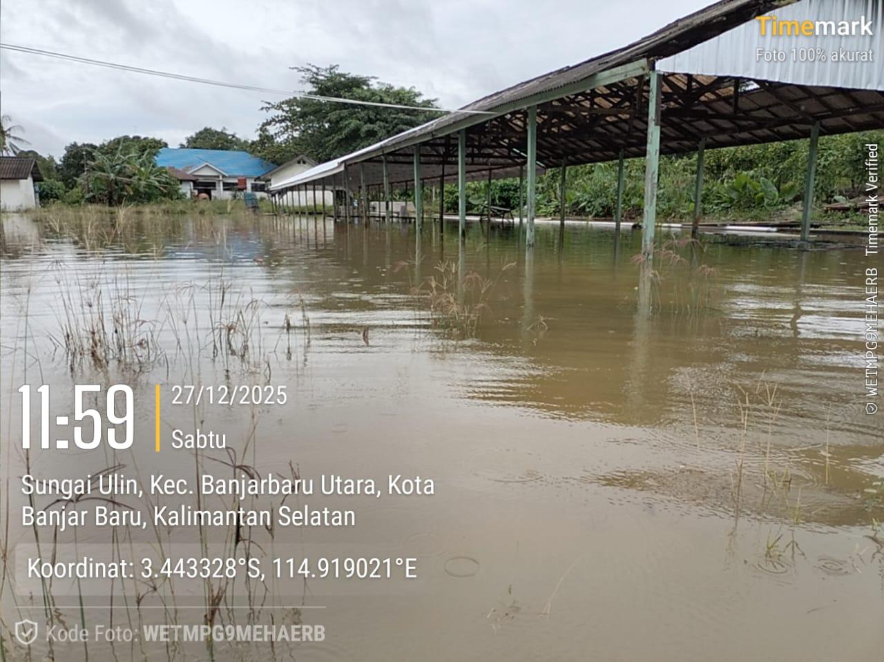 1.738,706 Ton Ikan Terapu Banjir, 151 Pembudidaya di Banjar Merugi Rp 4 Miliar