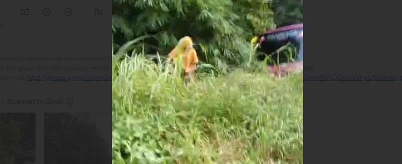 Lokasi-kecelakan-Tunggal-bus-pariwisata-dari-Tapin.jpg