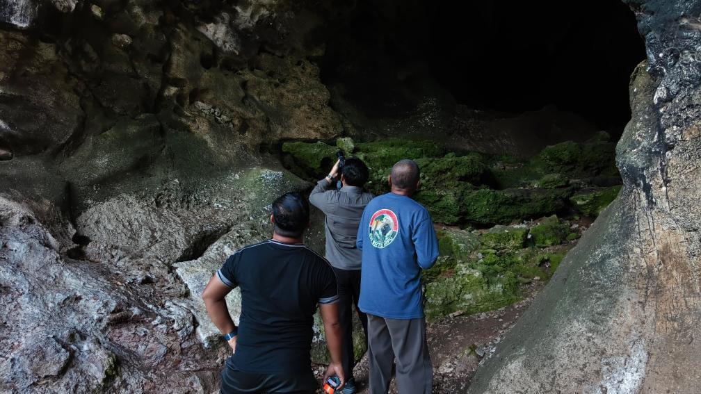 Monitoring Goa Batu Hapu Tapin, Badan Pengelola Geopark Meratus Temukan Beragam Jenis Kelelawar - Banjarmasinpost.co.id