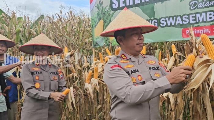 PANEN-RAYA-Pelaksanaan-panen-raya-serentak-di-Desa-Mauya-1.jpg