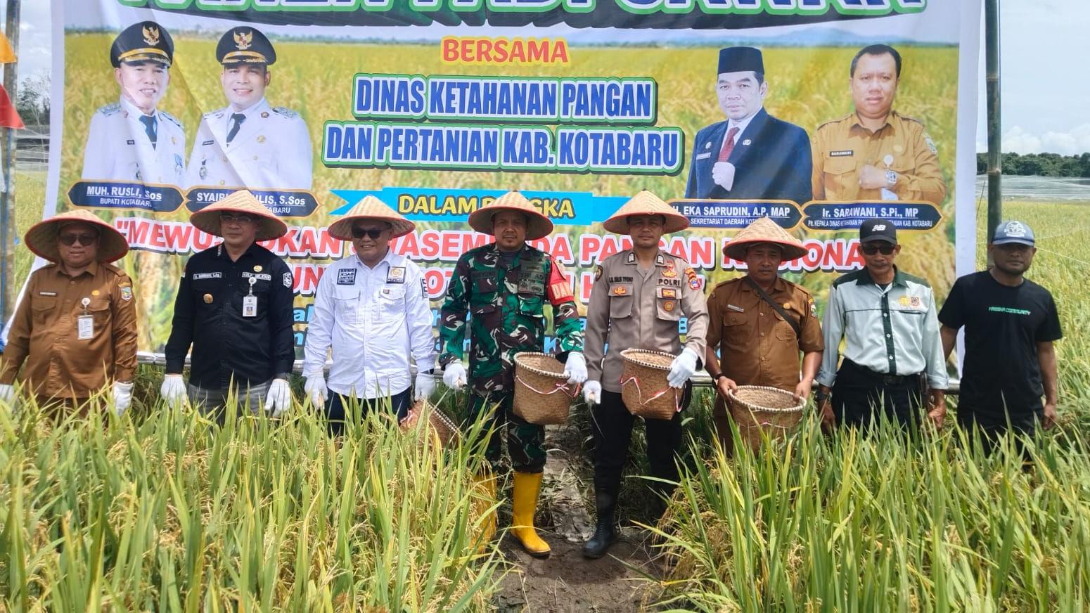 Petani di Bumi Asih Berhasil Panen Raya, Berharap Jadi Penyangga Pangan Kotabaru