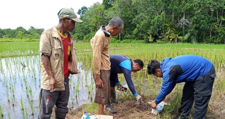 Pemberian-obat-hama-tikus-untuk-petani-di-Kotabaru-dari-petugas-BPTPH.jpg
