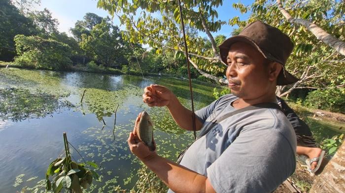 Fokus Kembangkan Kampung Papuyu di Karangintan, Pemkab Banjar Bantu Bibit dan Pakan