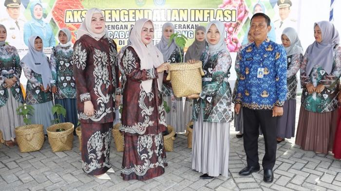 Penyerahan-bibit-cabai-di-Kabupaten-Tapin-kalsel-Kamis-17112022.jpg