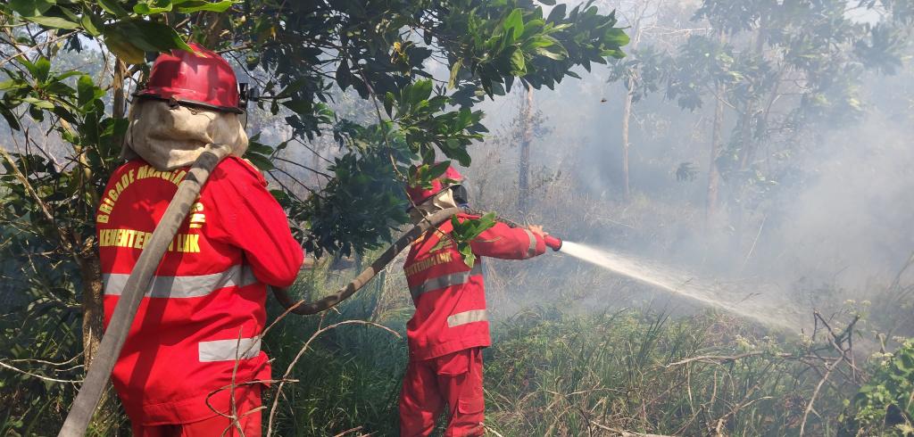 Kesulitan Petugas Padamkan Kebakaran Lahan di Wilayah Malukabaulin Kurau Tanahlaut Kalsel - Banjarmasinpost.co.id