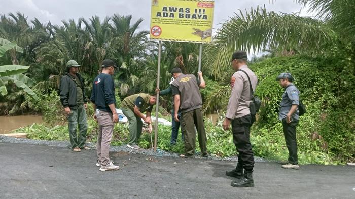 Buru Buaya Penyerang Warga di Desa Maju Makmur Tanbu, BKSDA Kalsel Pasang Perangkap