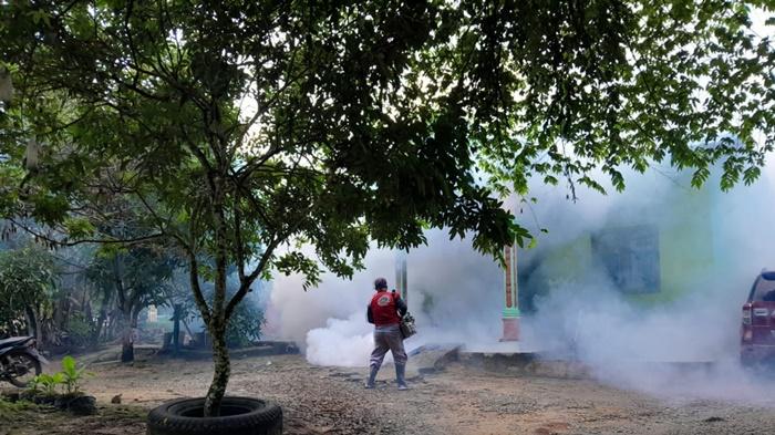 Petugas-dari-Dinkes-Tapin-melakukan-fogging-sebagi-bentuk-pencegahan-DBD-d12.jpg
