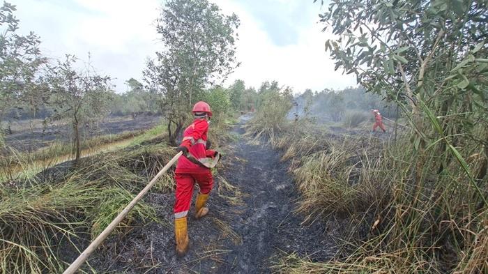 Lahan di Pengayuan Landasan Ulin Selatan Banjarbaru Terbakar, Petugas Lakukan Pemadaman Berjam-Jam - Banjarmasinpost.co.id