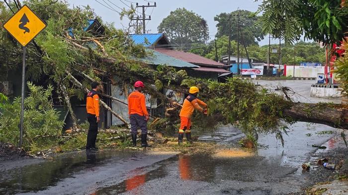 Prakiraan Cuaca Kalsel Rabu 25 Februari 2026, Hari Gajian Diwarnai Hujan Petir, 3 Wilayah Berawan