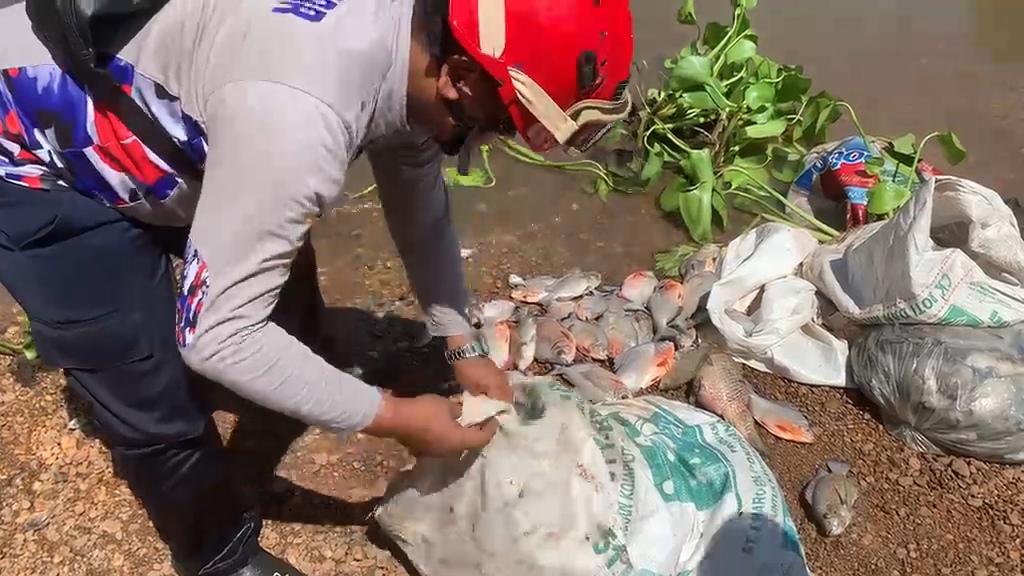 Pemkab Banjar Gerak Cepat Tangani Pencemaran Sungai Martapura di Mali-Mali dan Sungai Arfat - Banjarmasinpost.co.id