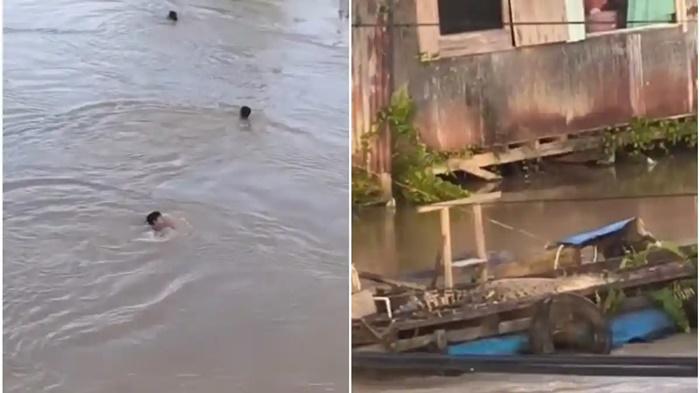 Video-buaya-berjemur-di-Sangatta-Kaltim.jpg