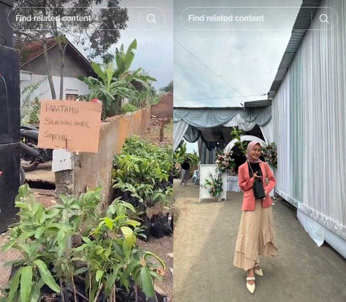 Viral-pengantin-di-Tegal-Jawa-Tengah-gunakan-bibit-pohon-sebagai-souvenir.jpg