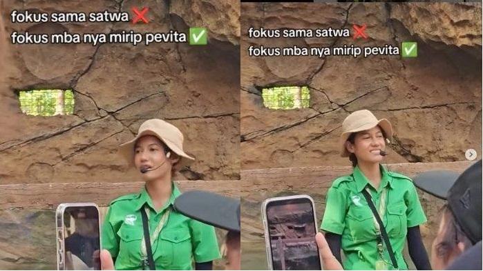 Sosok Petugas Solo Safari Bak Pinang Dibelah 2 dengan Pevita Pearce, Aksinya Memandu Wisatawan Viral