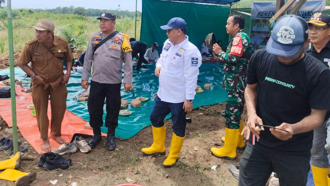 Apresiasi Panen Raya di Bumi Asih, Waket I DPRD Kotabaru Komitmen Dukung Pengembangan Pertanian 