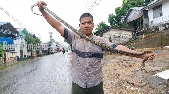 Warga-tangkap-ular-saat-banjir-di-Cempaka-Kota-Banjarbaru-Kalsel-Senin-040702022.jpg