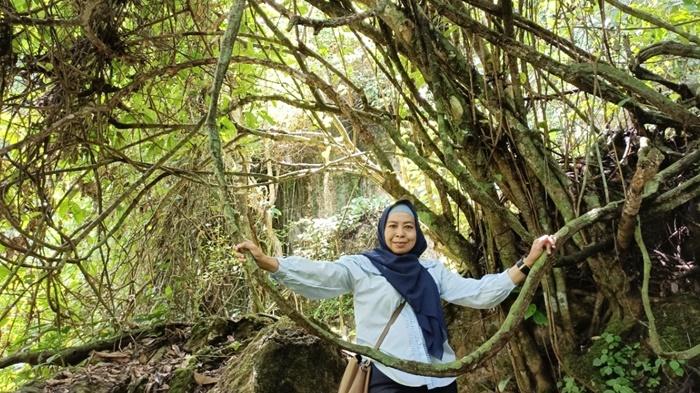 Wisata-Kalsel-Rimbun-pohon-di-Gunung-Sarigading-Kabupaten-Hulu-Sungai-Tengah-HST.jpg