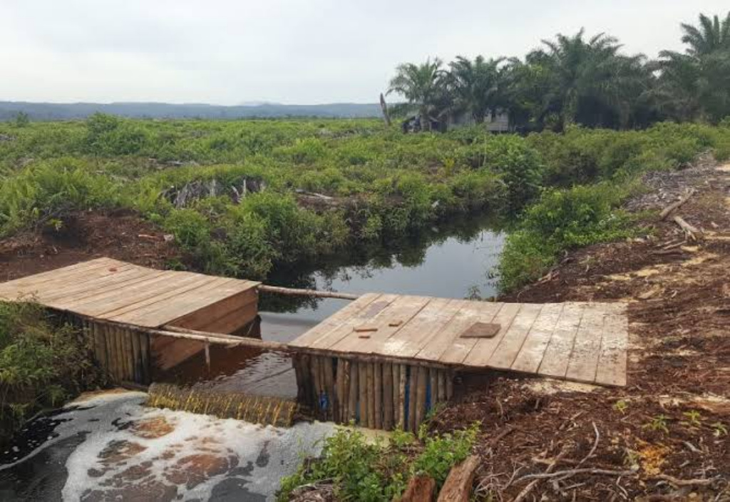 _kanal-lahan-gambut-di-desa-tatakan-tapin.jpg
