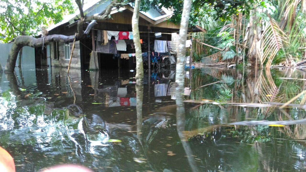 banjir-di-desa-pimping_20161206_214659.jpg