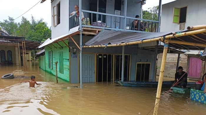 Banjir Merendam Lahan Pertanian dan 10 Ribu Rumah di Kabupaten Banjar Kalsel