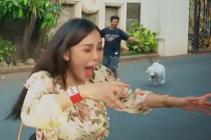 bebby-fey-lari-terbirit-birit-saat-didekatin-anjing-di-pingggir-jalan.jpg