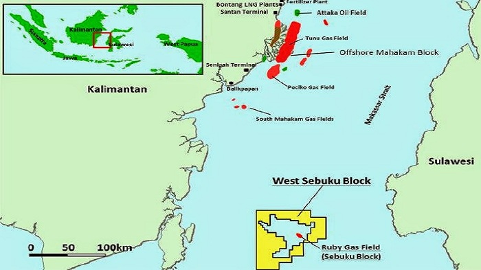 Pemprov Kalsel Bujuk Pertamina untuk Mengelola Blok Larilarian