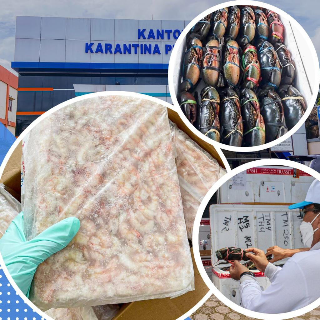 ekspor-produk-perikanan-kalimantan-selatan-naik-20-persen.jpg