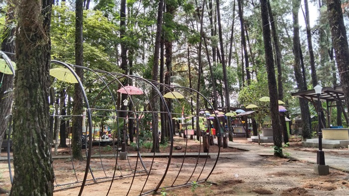hutan-pinus-mentaos-banjarbaru-04.jpg