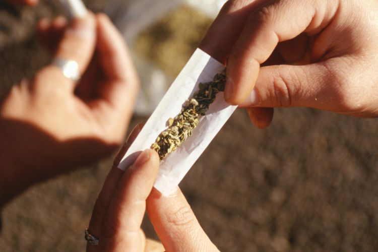 ilustrasi-ganja.jpg