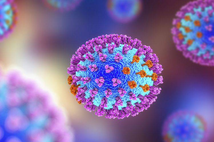 ilustrasi-virus-influenza.jpg