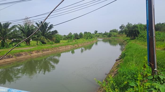 irigasi-Riam-Kanan-di-Kawasan-Cindaialus-Banjar.jpg