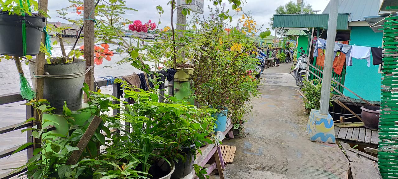 Minum Kopi dan Teh Sambil Lihat Sungai Martapura, Jadi Kenikmatan Tersendiri di Kampung Hijau