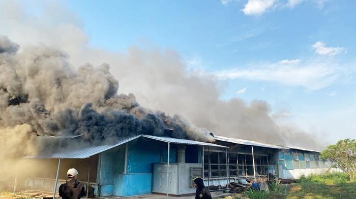 kebakaran-di-kandang-ayam-PT-PIA-di-Desa-Bentok-Kampung-tala-kalsel-Kamis-26102023.jpg