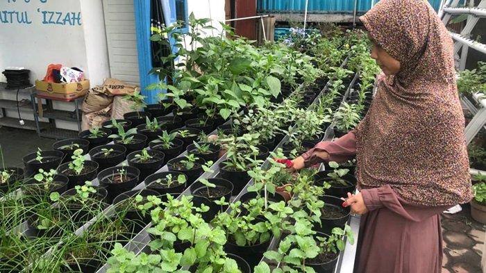 Berikut Syarat Edible Flower Sebagai Bunga yang Aman dan Layak Dikonsumsi