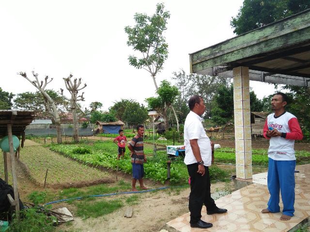 kepala-dinas-pertanian-tanahbumbu-setia-budi-rabu-2412018_20180124_202100.jpg