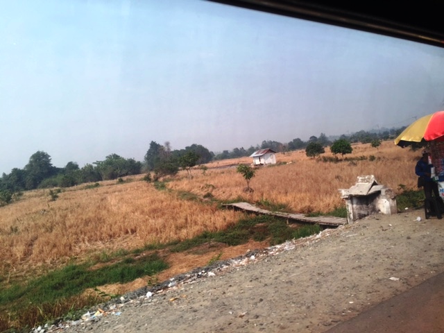 kering-sawah-kabut-asap-kapuas_20151019_102358.jpg