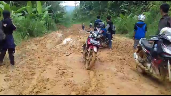kondisi-jalan-di-kecamatan-bintang-ara.jpg