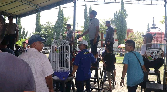 kontes-burung-berkicau-di-gos-aluh-idut.jpg