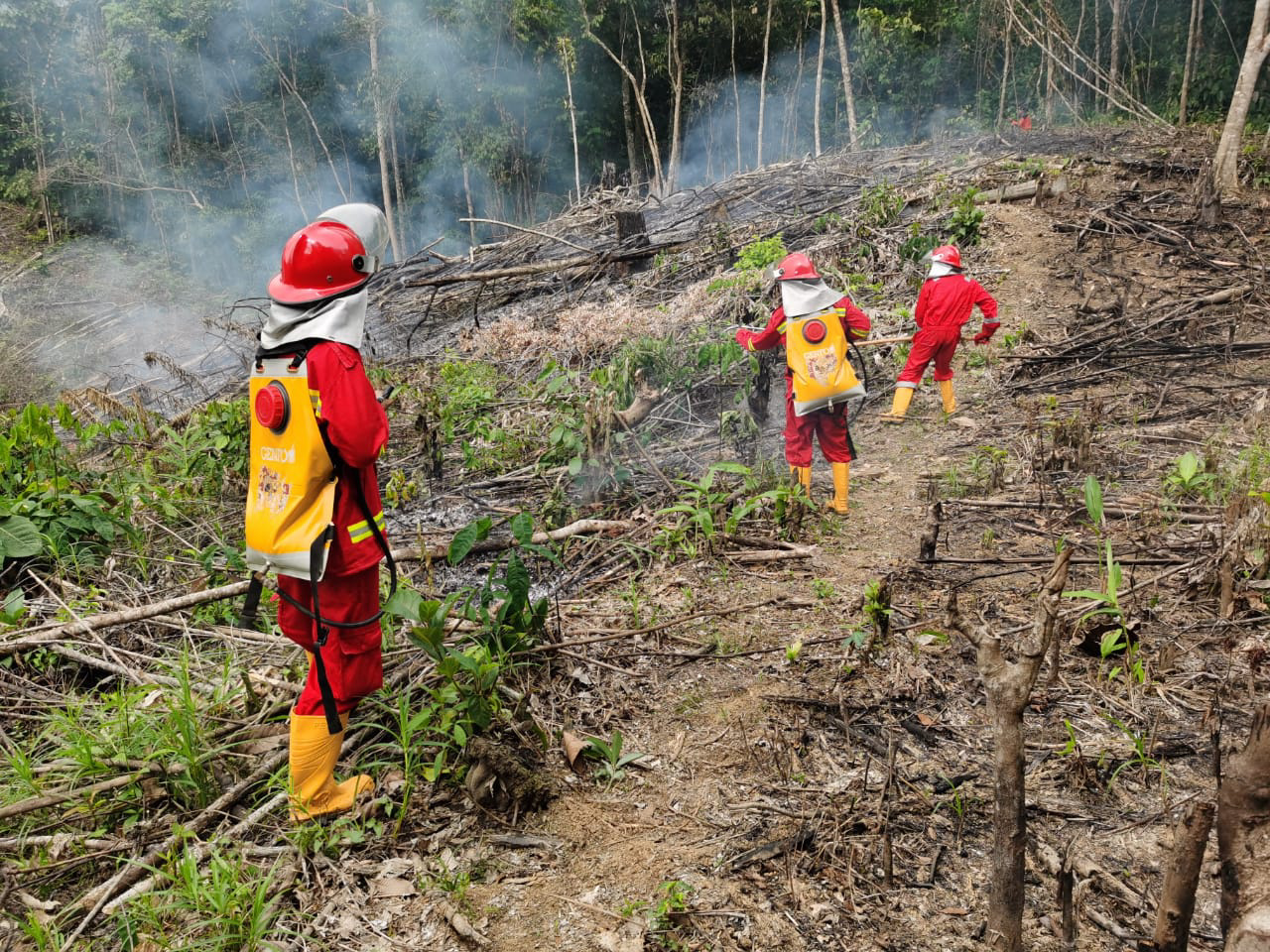 Tim KPH Tabalong Sempat Kewalahan, Mendadak Hujan Lokal Padamkan Kebakaran Besar Gunung Batu Kumpai