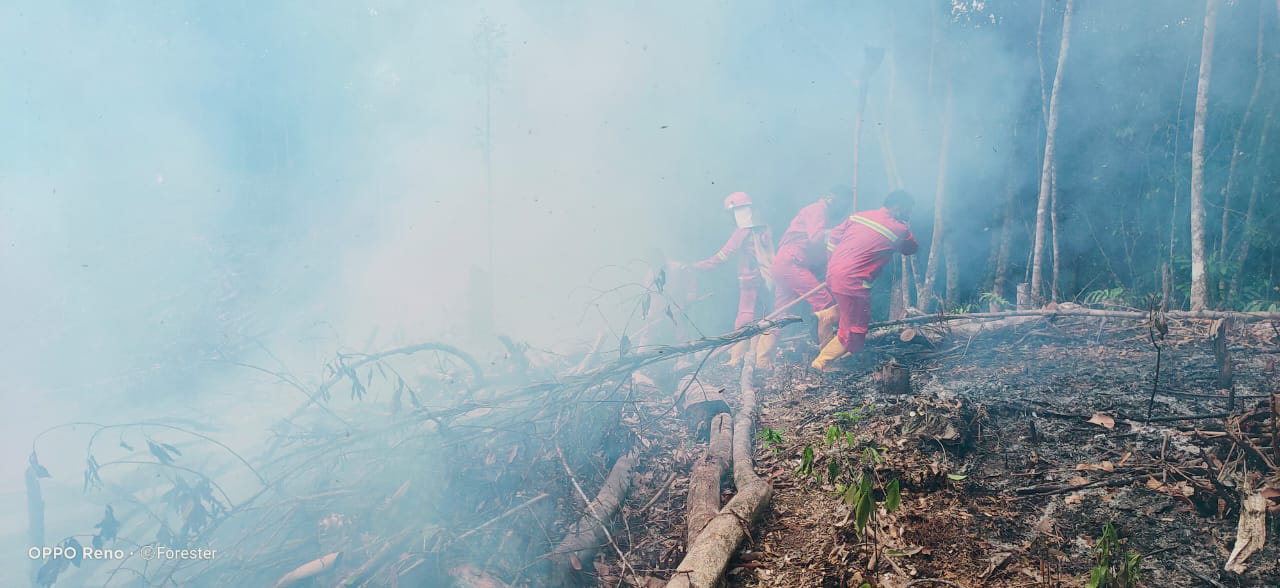 kph-tabalong-tim-kph-tabalong-saat-tangani-kebakaran-hutan-dan-lahan-9.jpg