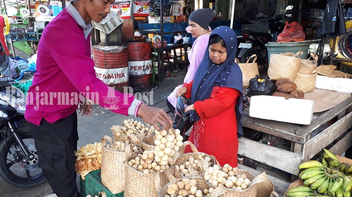 Jangan Tertipu! Kalau Salah Beli Pasti Rasanya Asam, Begini Ciri-ciri Langsat Tanjung Asli Tabalong