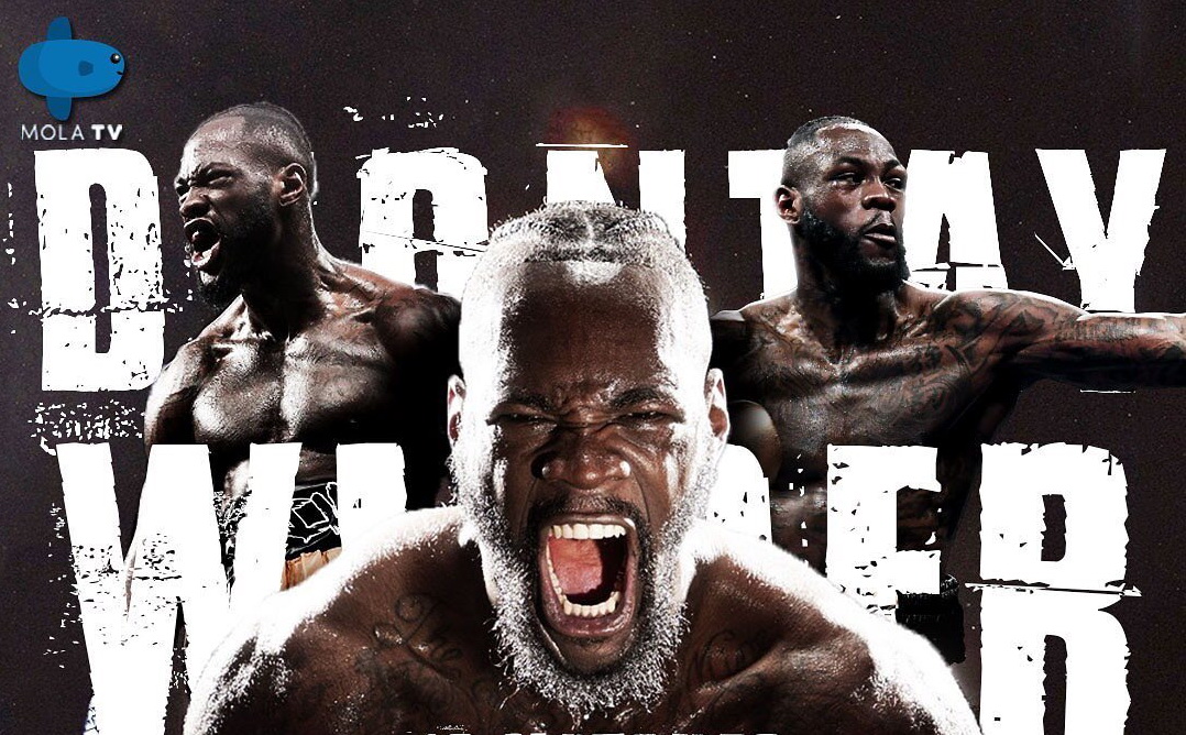 live-streaming-tinju-dunia-deontany-wilder-vs-luiz-ortiz.jpg