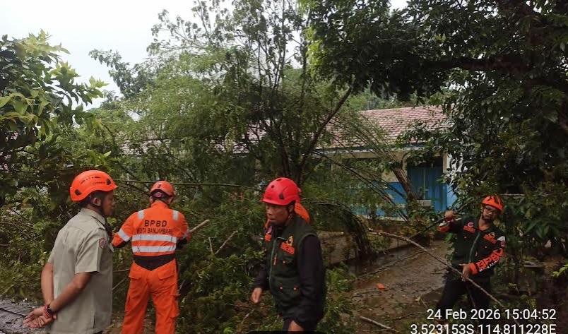 Sehari, Dua Pohon Tumbang di Banjarbaru, Petugas Langsung Bergerak Lakukan Pembersihan