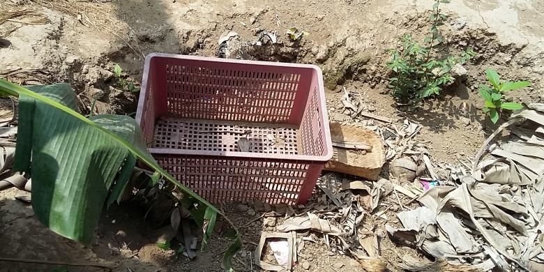 'Saya Langsung Teriak, Ya Tuhan, Semoga Ini Mayat Engeline'